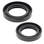 Vertex Engine Oil Seal Kit