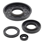 Vertex Engine Oil Seal Kit