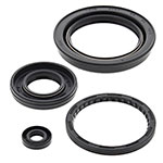 Vertex Engine Oil Seal Kit