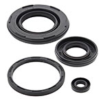 Vertex Engine Oil Seal Kit
