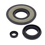 Vertex Engine Oil Seal Kit