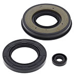 Vertex Engine Oil Seal Kit