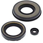 Vertex Engine Oil Seal Kit