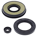 Vertex Engine Oil Seal Kit