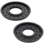 Vertex Engine Oil Seal Kit