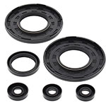 Vertex Engine Oil Seal Kit