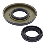 Vertex Engine Oil Seal Kit