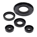 Vertex Engine Oil Seal Kit