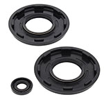 Vertex Engine Oil Seal Kit
