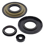 Vertex Engine Oil Seal Kit