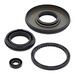 Vertex Engine Oil Seal Kit