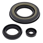 Vertex Engine Oil Seal Kit