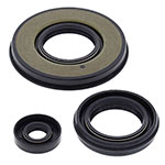 Vertex Engine Oil Seal Kit