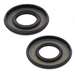 Vertex Engine Oil Seal Kit
