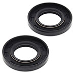 Vertex Engine Oil Seal Kit