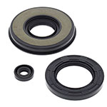 Vertex Engine Oil Seal Kit