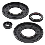 Vertex Engine Oil Seal Kit