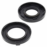 Vertex Engine Oil Seal Kit