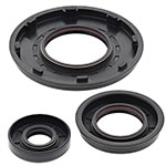 Vertex Engine Oil Seal Kit