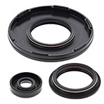 Vertex Engine Oil Seal Kit
