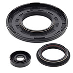 Vertex Engine Oil Seal Kit