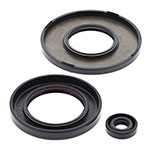 Vertex Engine Oil Seal Kit