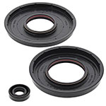 Vertex Engine Oil Seal Kit