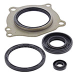 Vertex Engine Oil Seal Kit