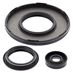 Vertex Engine Oil Seal Kit