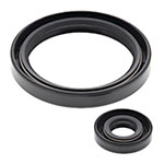 Vertex Engine Oil Seal Kit