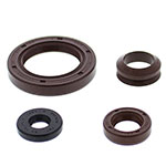 Vertex Engine Oil Seal Kit