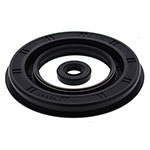 Vertex Engine Oil Seal Kit