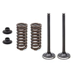PSYCHIC EXHAUST VALVE