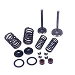 MOGO PARTS VALVE KIT