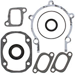 VERTEX GASKET SET & OIL SEALS