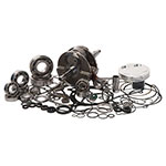 Vertex Complete Engine Rebuild Kit