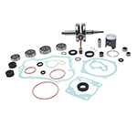 Vertex Complete Engine Rebuild Kit