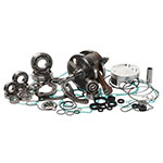 Vertex Complete Engine Rebuild Kit