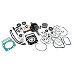 Vertex Complete Engine Rebuild Kit