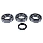 Hot Rods Main Bearing and Seal Kit
