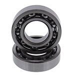 Hot Rods Counter Balancer Bearing Kit