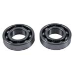 Hot Rods Counter Balancer Bearing Kit