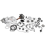 Vertex Complete Engine Rebuild Kit