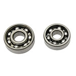 Hot Rods Counter Balancer Bearing Kit
