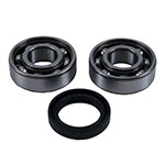 Hot Rods Counter Balancer Bearing Kit