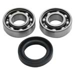Hot Rods Counter Balancer Bearing Kit