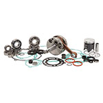 Vertex Complete Engine Rebuild Kit