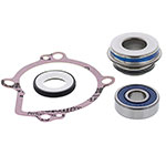 VERTEX WATER PUMP REBUILD KIT
