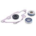 VERTEX WATER PUMP REBUILD KIT