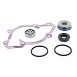 VERTEX WATER PUMP REBUILD KIT